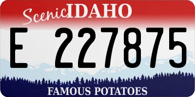 ID license plate E227875