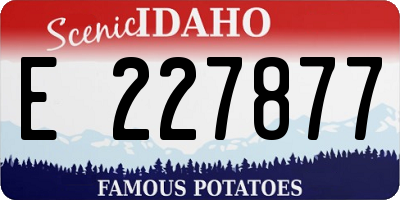 ID license plate E227877
