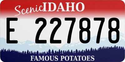 ID license plate E227878