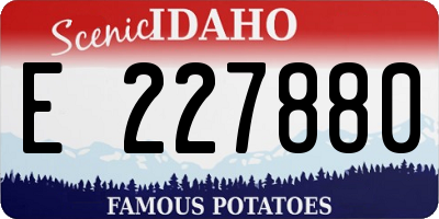 ID license plate E227880