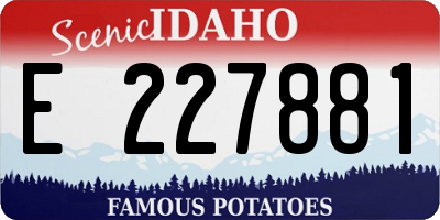 ID license plate E227881