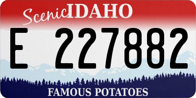 ID license plate E227882