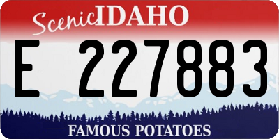 ID license plate E227883
