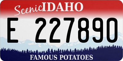 ID license plate E227890