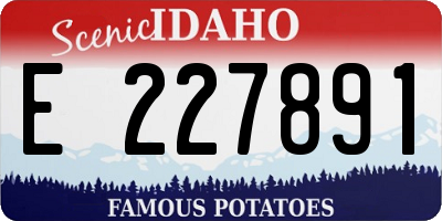 ID license plate E227891