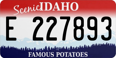 ID license plate E227893
