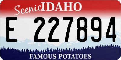 ID license plate E227894