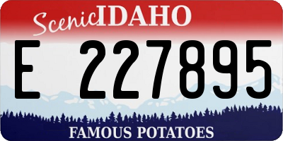 ID license plate E227895