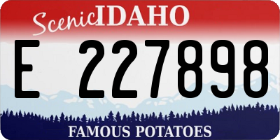 ID license plate E227898
