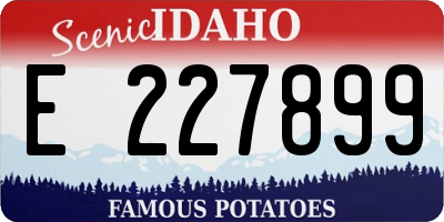 ID license plate E227899