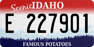 ID license plate E227901