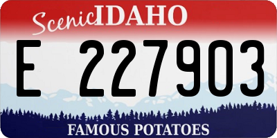 ID license plate E227903
