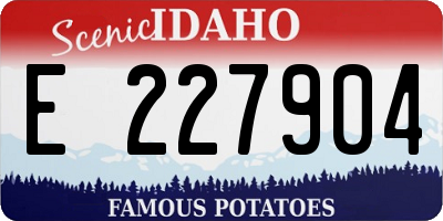 ID license plate E227904