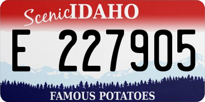 ID license plate E227905