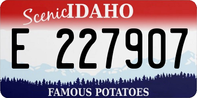 ID license plate E227907