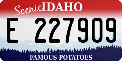 ID license plate E227909