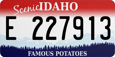 ID license plate E227913