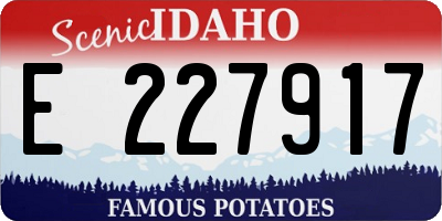 ID license plate E227917