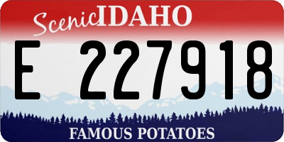 ID license plate E227918