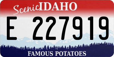ID license plate E227919