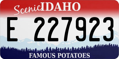 ID license plate E227923