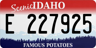 ID license plate E227925