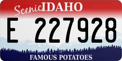ID license plate E227928