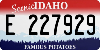 ID license plate E227929
