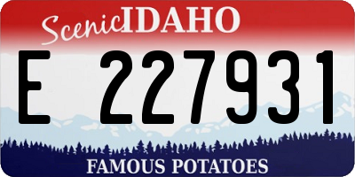 ID license plate E227931