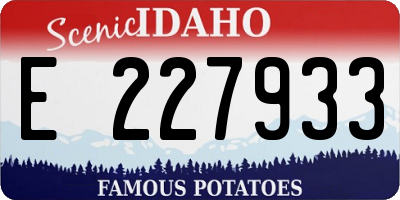 ID license plate E227933