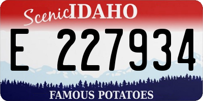 ID license plate E227934