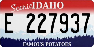 ID license plate E227937