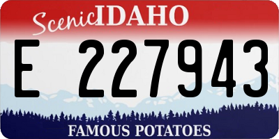 ID license plate E227943