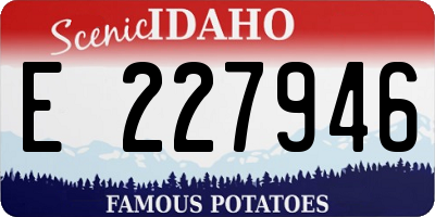 ID license plate E227946