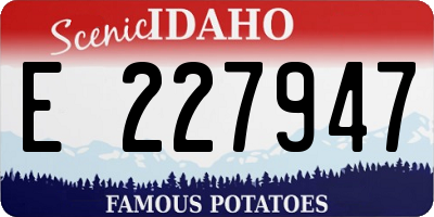 ID license plate E227947