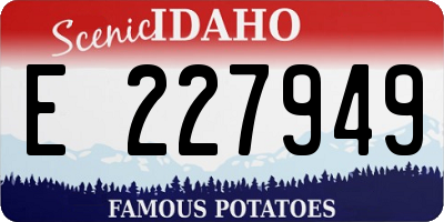 ID license plate E227949