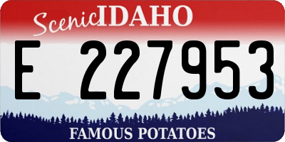 ID license plate E227953