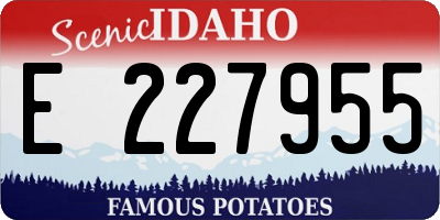 ID license plate E227955