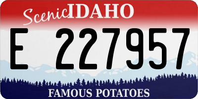 ID license plate E227957