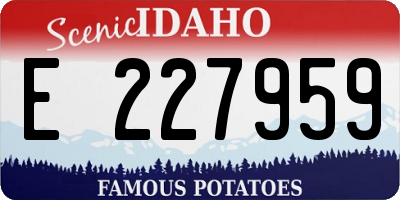 ID license plate E227959