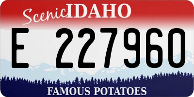 ID license plate E227960
