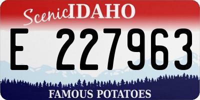 ID license plate E227963