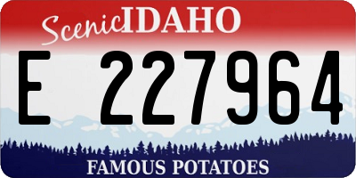 ID license plate E227964