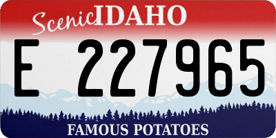 ID license plate E227965