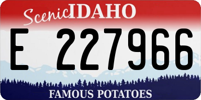 ID license plate E227966
