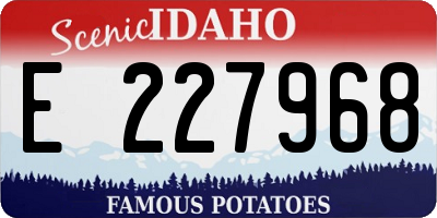 ID license plate E227968