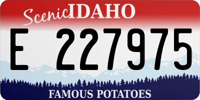 ID license plate E227975