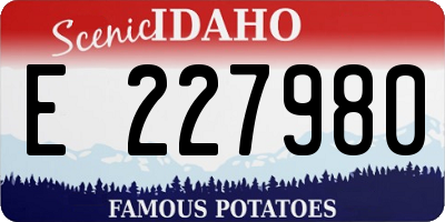 ID license plate E227980