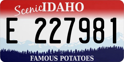 ID license plate E227981