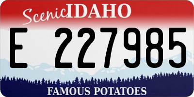 ID license plate E227985